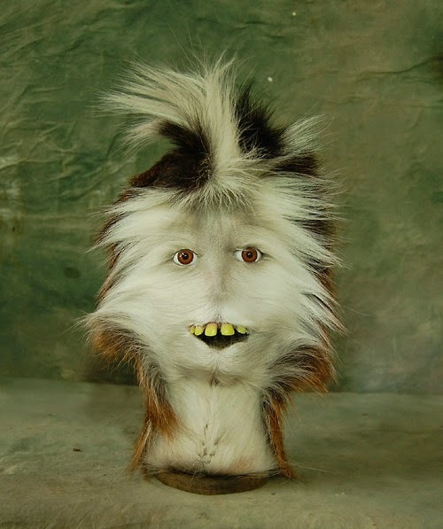 Crappy taxidermy #2 - , The horrors of taxidermy, Scarecrow, Taxidermy, Longpost