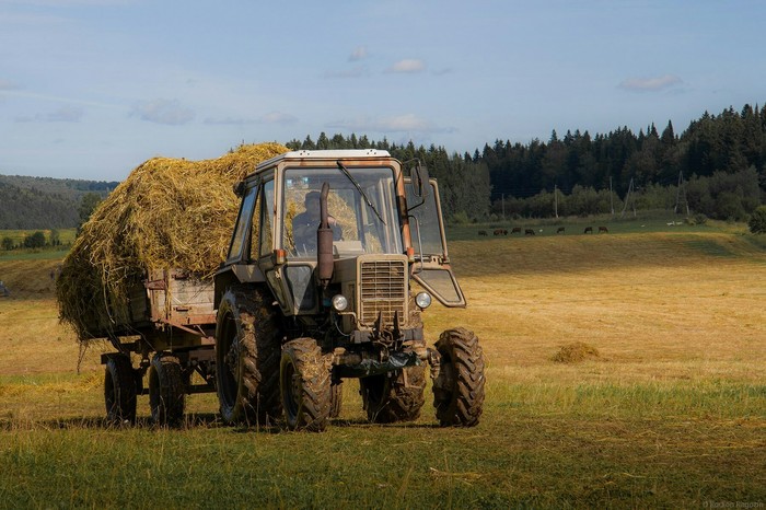 Village everyday life * - My, Perm Territory, Village, The national geographic, Nature, Summer, Ural, The photo, Tractor