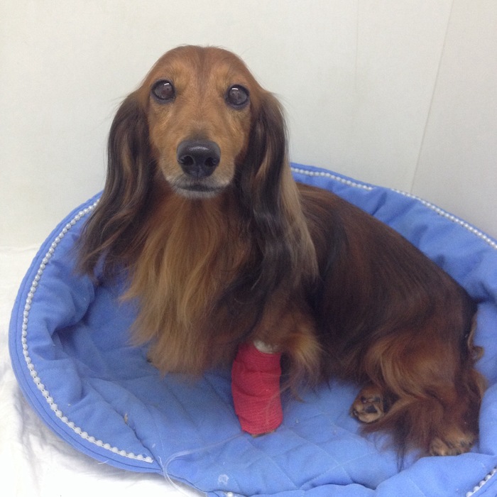 ������, ��� ��?