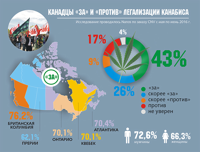 Легализация конопли в россии марихуана ак 47
