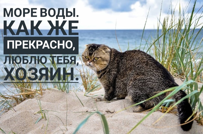 �� ����������.