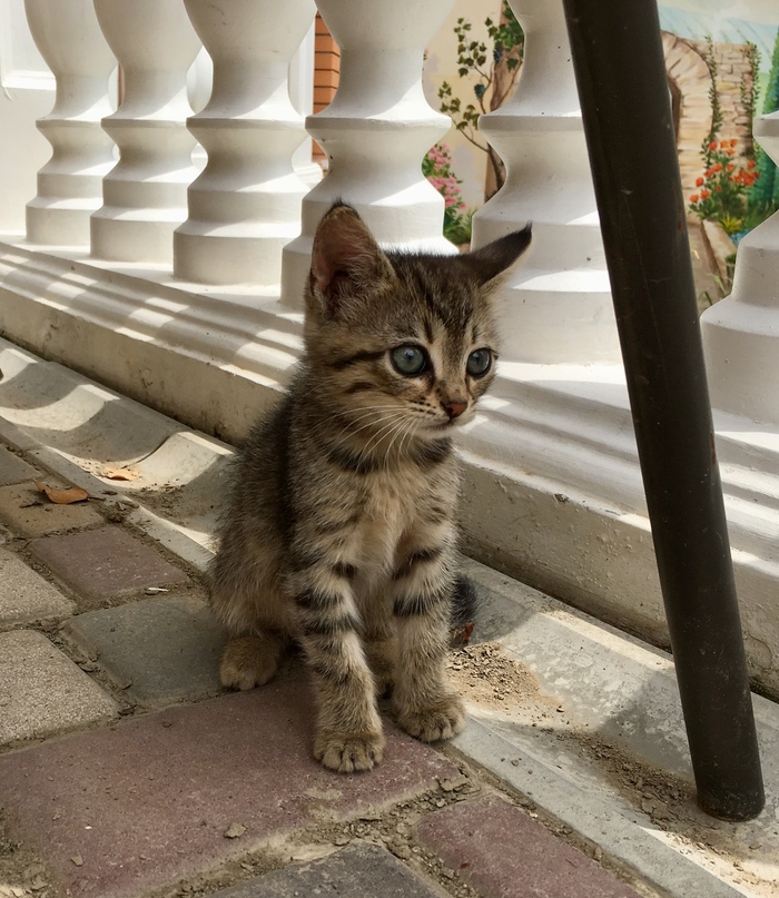 ���� �� ����