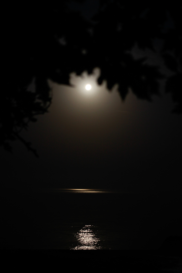 Lunar path from the blue moon - Beginning photographer, My, Longpost, moon, Abkhazia