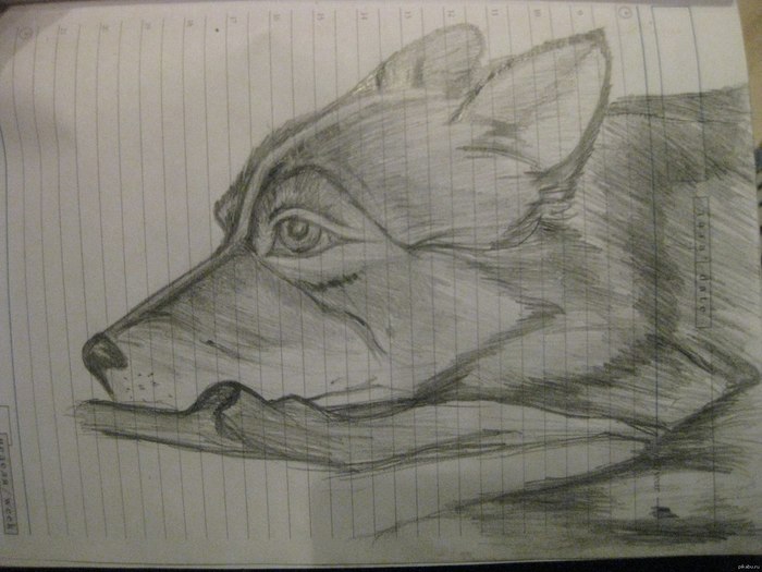 Mood - Wolf, Drawing, Simple pencil