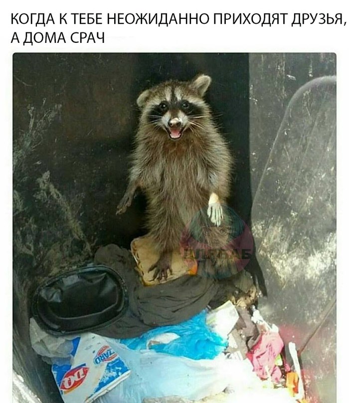 ���� ����