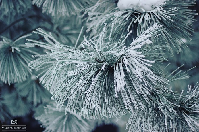 Прям холодком веет