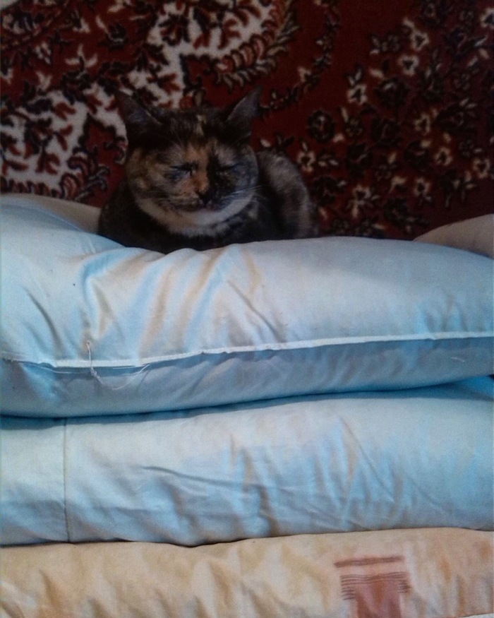 Принцесса на горошине