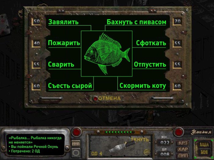 Fisheye VATS - , Fallout, Fallout 1, Fallout 2, Games, Computer games, A fish