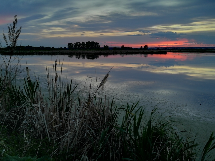 ����� � �����