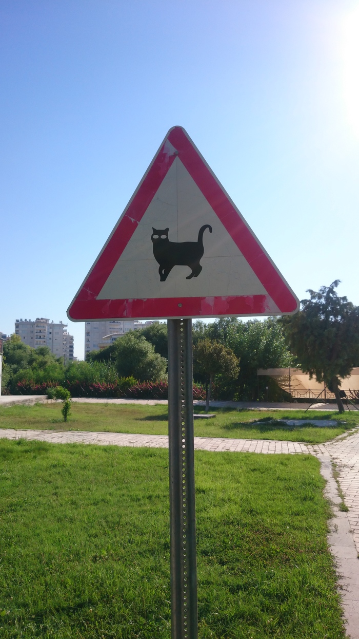 Cats - My, Road sign, cat, Turkey