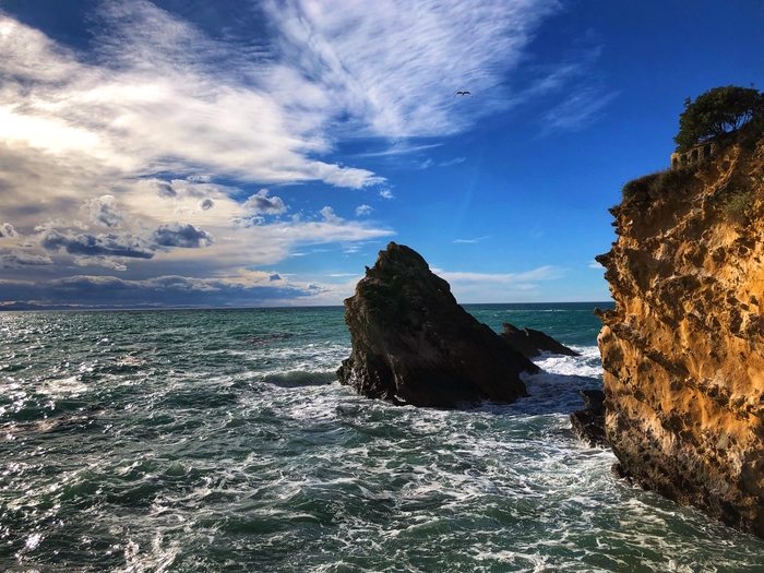 �������