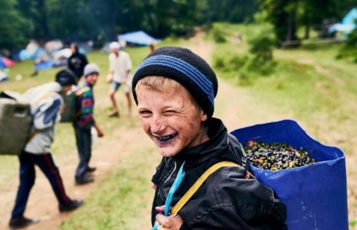 Ну теперь заживем - Заживем, Политика, Законопроект