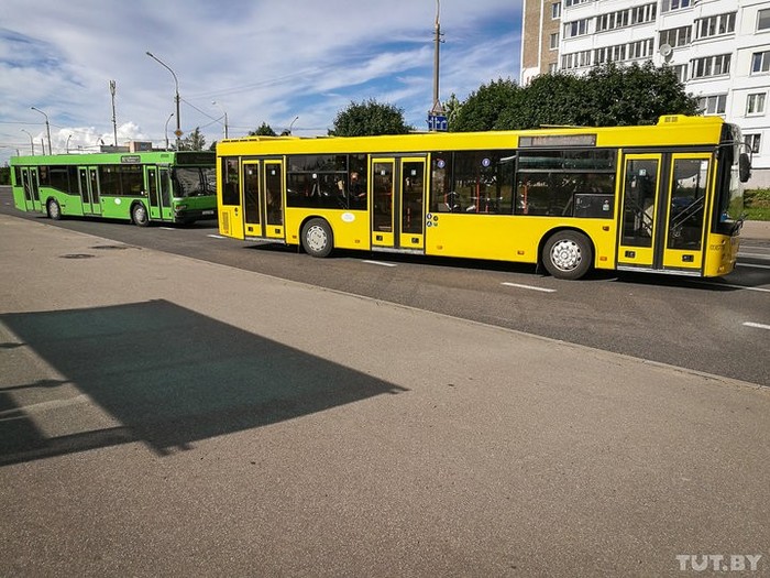 Once a year, drivers will be able to ride public transport in Minsk for free - Minsk, Bus, Route, news