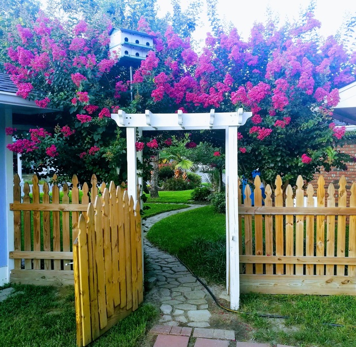 beauty - The photo, Backyard, Gate