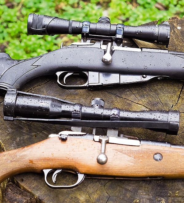 Three-ruler or Mosin rifle. - Rifle, Mosin rifle, Three-line, Bullpup, Weapon, Images, Longpost