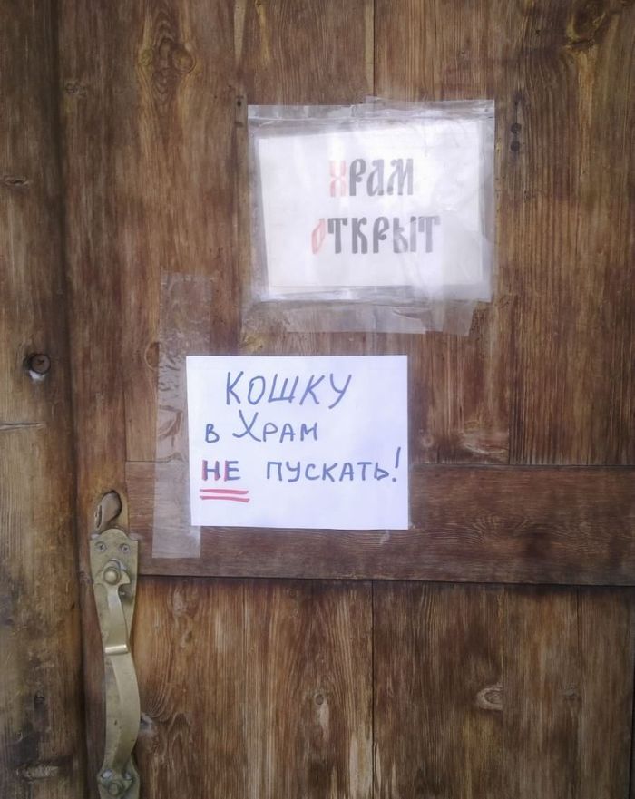 Б - Бессердечность | Пикабу