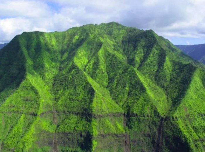 The wettest place on earth - , Island, Fake