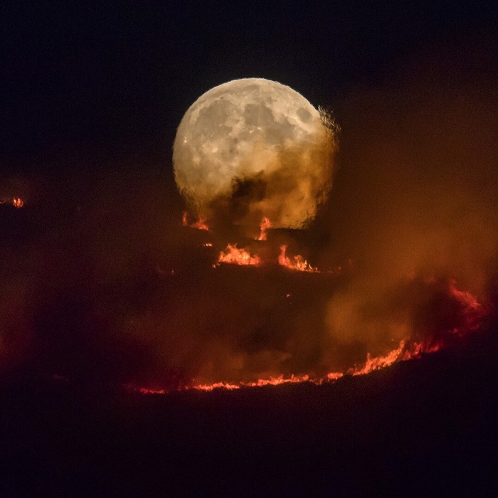 Полная луна на фоне пожара верескового поля около Манчестера Луна, Пожар, Природа