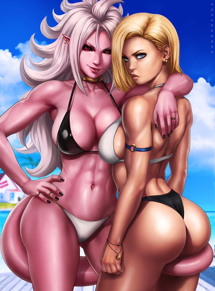 Android 21 and Android 18 - Beachqueens