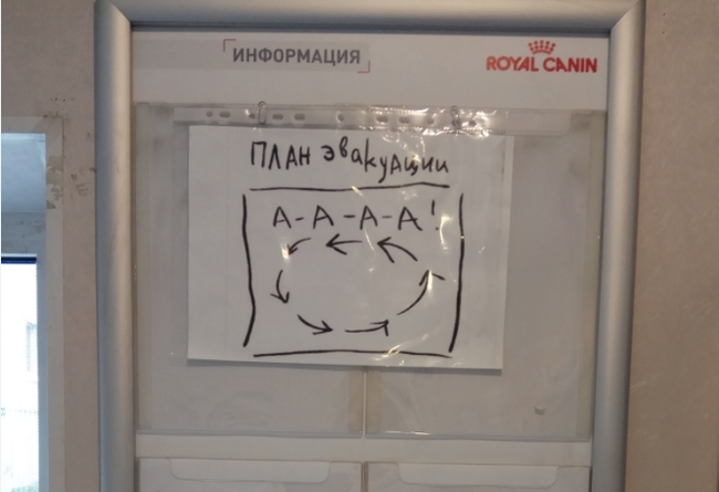 Пришел в ветклинику, а тут...