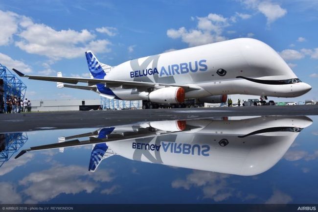 Airbus   Beluga      , , , , Airbus Beluga