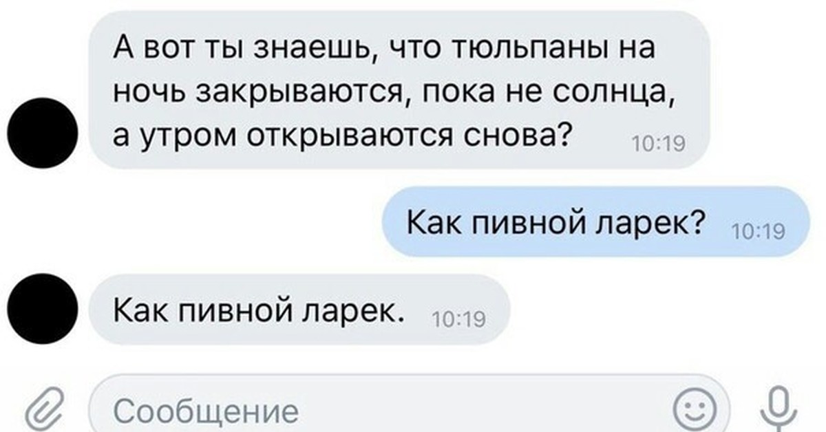 Закрыто пока. Тюльпаны на ночь закрываются как пивной ларек. Пивной ларек Мем. Тюльпаны как пивной ларек. Прикол как пивной ларек.