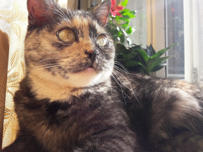 Здравствуйте