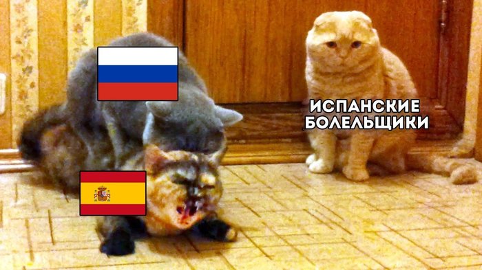 Briefly about the match Russia - Spain - Images, Humor, 2018 FIFA World Cup, Russia, Spain, Football