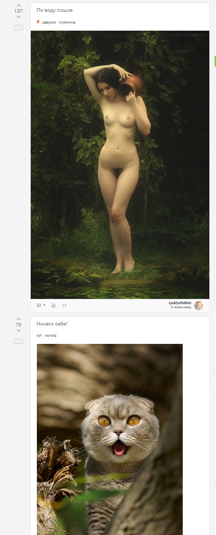 What a twist - NSFW, cat, Matching posts, The photo, Images, Girls