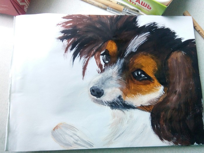 Dog - My, Dog, Gouache, A bit crooked, Papillon