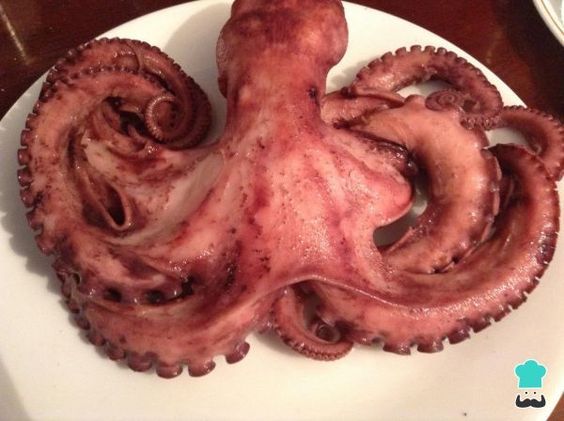 There is no prophet in his own country: in Japan, they ate an octopus predictor who guessed the results of World Cup matches - Octopus, Prophet, Silence