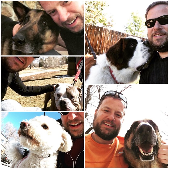Мой отец делает селфи с каждой встретившейся собакой Reddit, Собака, Селфи, Милота