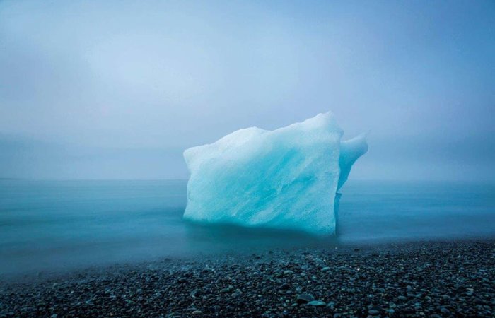 The Nature Conservancy Photo Contest Winners - The photo, Competition, , Longpost