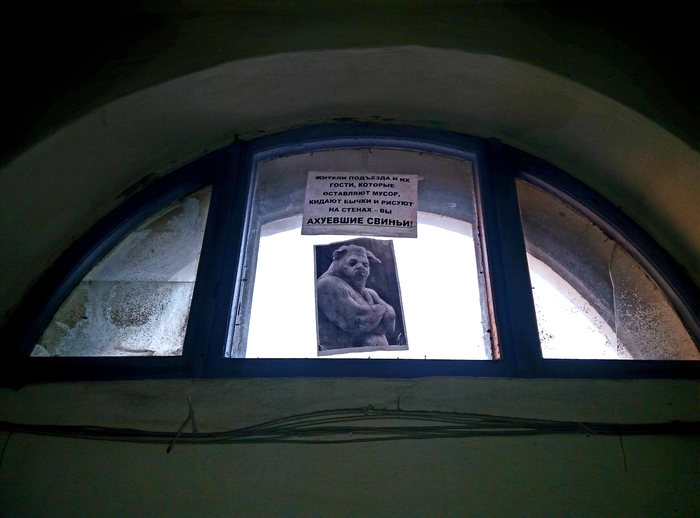 � ���� ������ � ��������