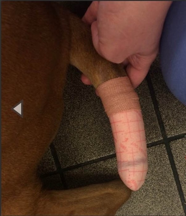 Показалось