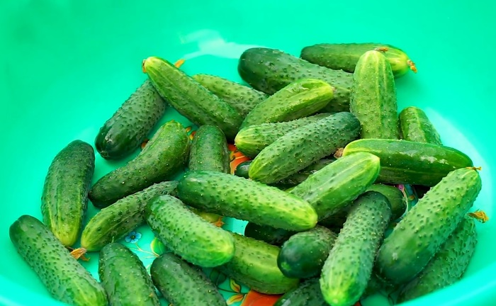 Crispy salted cucumbers in a jar - My, Video recipe, Lightly salted cucumbers, , Video, Longpost