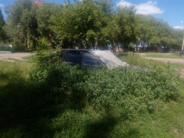 disguise - My, Omsk, Abandoned cars, Car