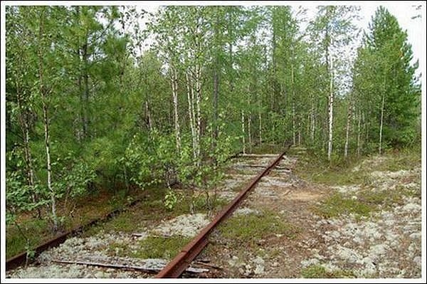 Wait, locomotive, don't knock, wheels, Conductor, press the brakes. - Locomotive, Old man, Railway, Rarity, Longpost