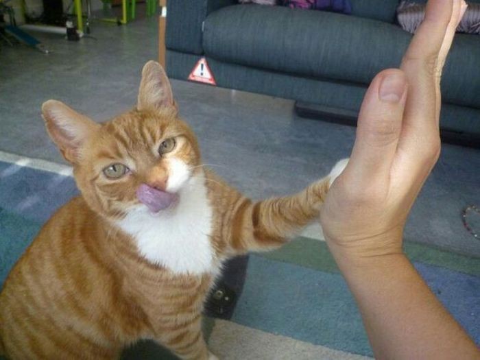 ��� � ������ ���� ������ ����.