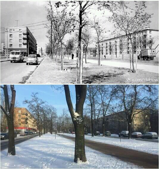 Leningrad - Petersburg - Leningrad, It Was-It Was, Saint Petersburg, In contact with