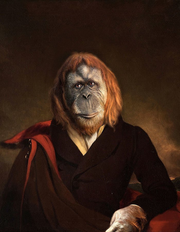 Animal aristocracy - Art, Animals, Humor, Artist, Longpost