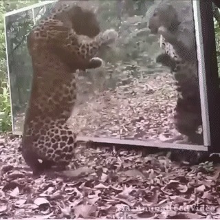      ?