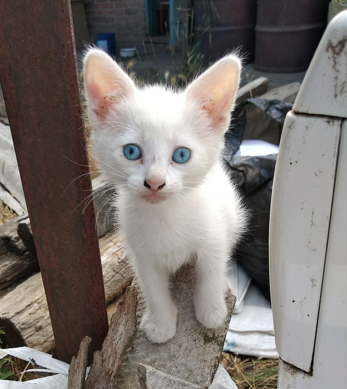 ������������