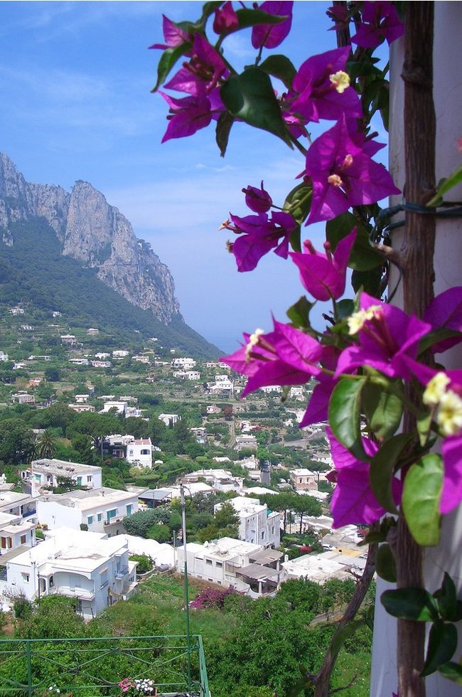 Island of Capri - Italy, Capri, Mediterranean, Longpost