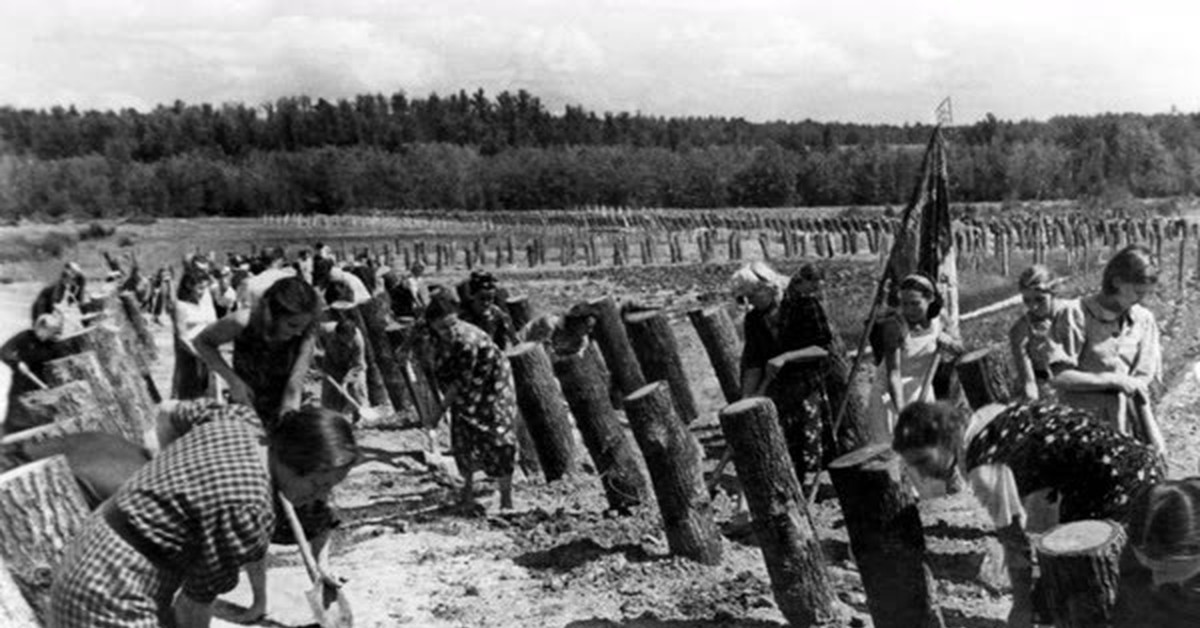 Строить оборону. На подступах к Москве 1941. Московские оборонительные сооружения 1941. Оборонительные сооружения под Москвой 1941. Оборона Москвы 1941 рытье траншей.