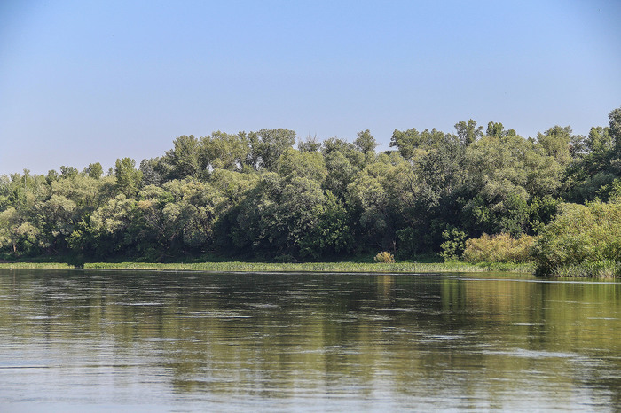 A bit of the Ural River in your feed - My, Ural, River, Alloy, Nature, Animals, Longpost