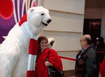 Милый медведь.