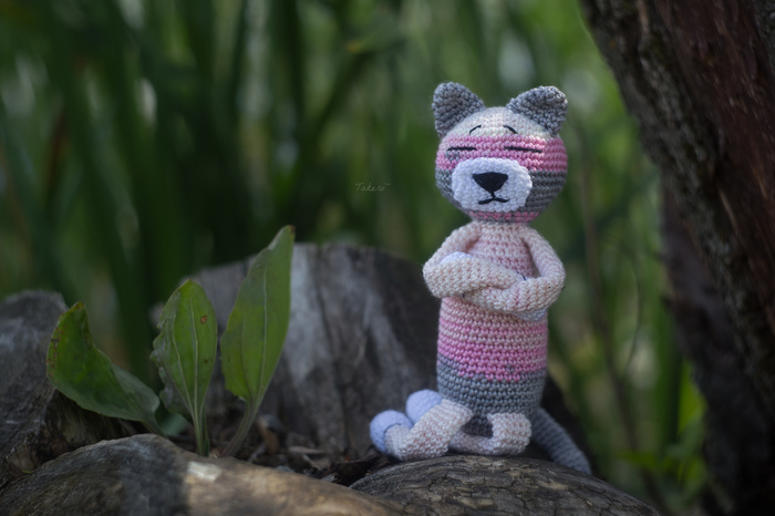 Knitted amineko cat Nigel - My, Needlework, Needlework without process, cat, , Amigurumi, Knitting, Crochet, Longpost, Story