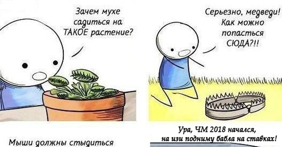 Зачем мухи садятся на людей