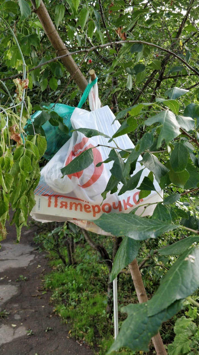 junk tree fruit - Longpost, Cruelty, Garbage